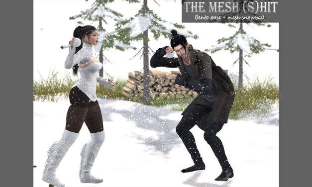 New Group Gift at The Mesh (S)hit