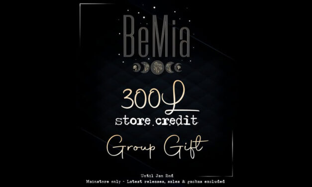 300L Store Credit Group Gift at BeMia