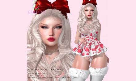 New Group Gift Biba Shape at Colucci