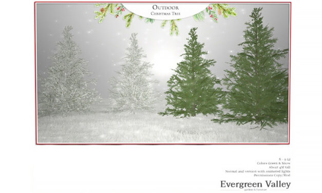 Evergreen Valley Gardens Group Gift – Outdoor Christmas Tree