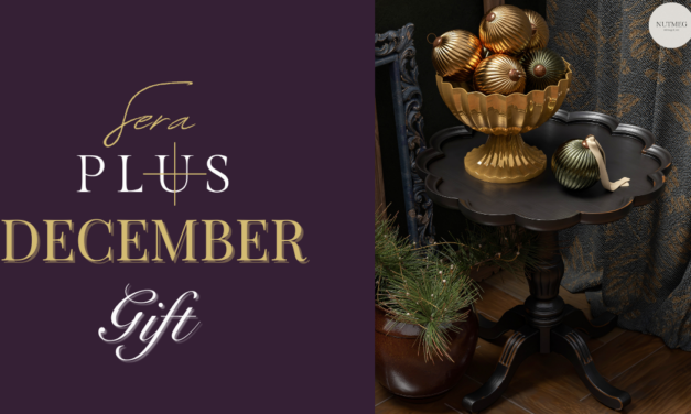 SeraPlus December Gift Has Slid Down The Chimney