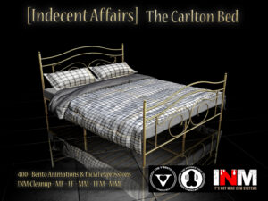 Indecent Affairs