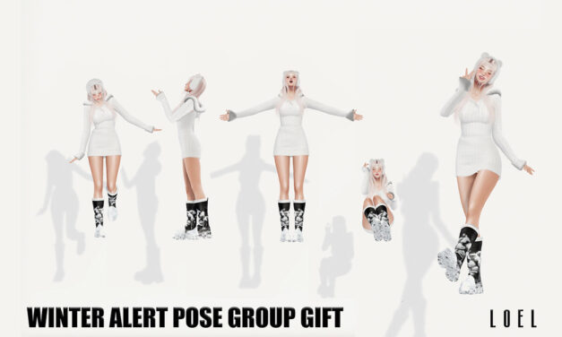 Loel Group Gift Winter Alert