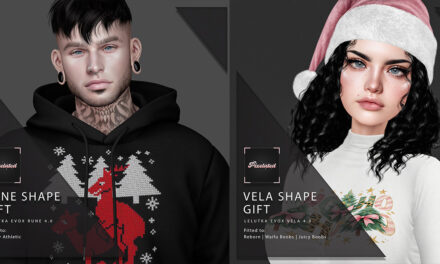 Group Gift Shapes for Rune and Vela at Pixelated