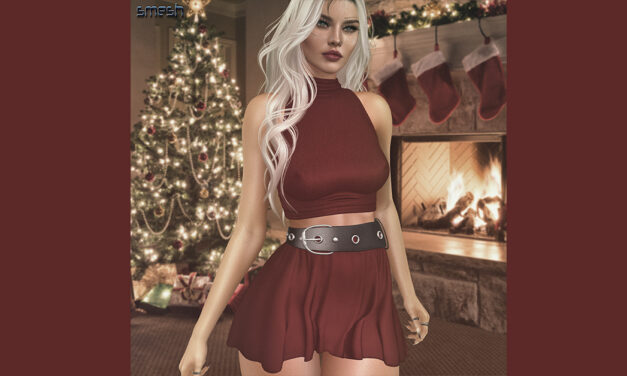 New Christmas Group Gift at Smesh