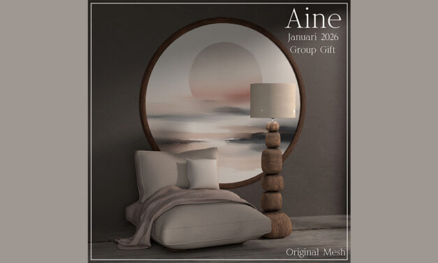 January Group Gift at Aine