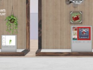 Amelias Coastal Treasures