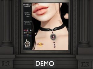 Badwolf Accessories & Co.