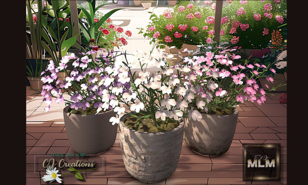 New Group Gift at CJ Creations Flowering Planter