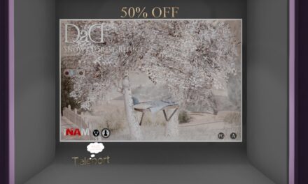 50% Off from DaD Exclusively at The Outlet