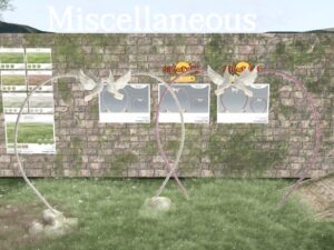 Evergreen Valley Gardens