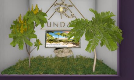 50% Off from Fundati Exclusively at The Outlet