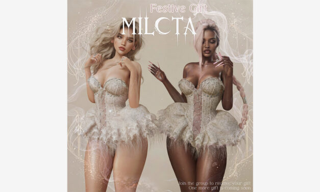 Festive Milota Group Gift Amikamea