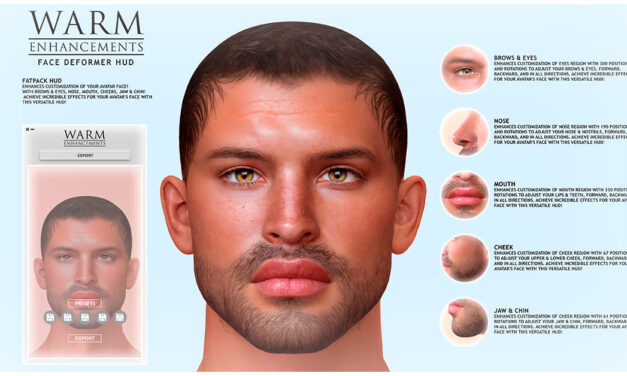 New – Warm Animations Male Face Deformers