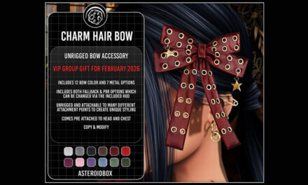 Group Gift Charm Hair Bow at AsteroidBox