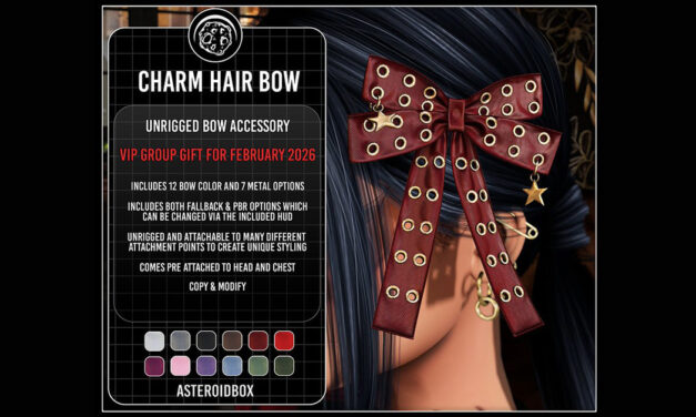 Group Gift Charm Hair Bow at AsteroidBox