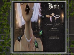 Beetle