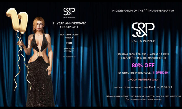 11 Year Anniversary Group Gift Nocturne Gown at Salt & Pepper