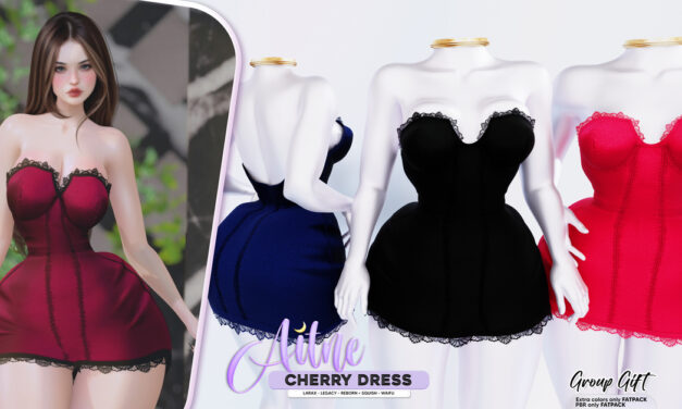 New Group Gift Cherry Dress at Aitne