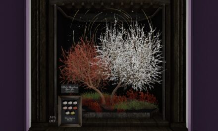 50% Off from Anc Ltd. Exclusively at The Outlet