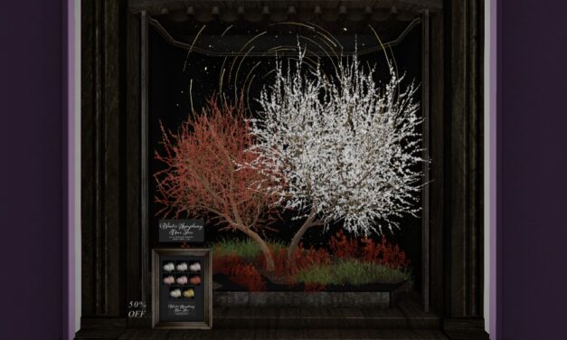 50% Off from Anc Ltd. Exclusively at The Outlet