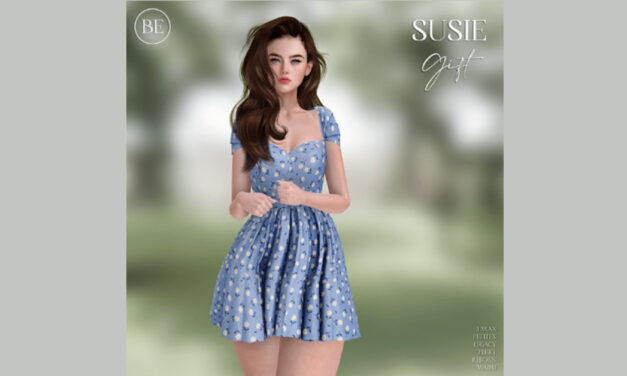 Group Gift Susie at Belle Epoque