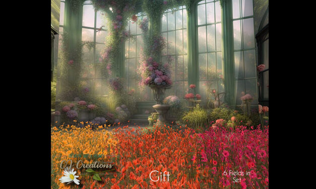 March Group Gift Flower Fields at CJ Creations