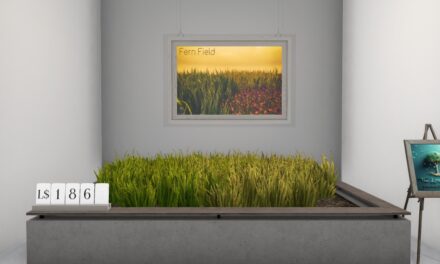 50% Off from Little Branch Only at The Outlet