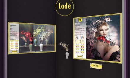 50% Off from Lode Exclusively at The Outlet