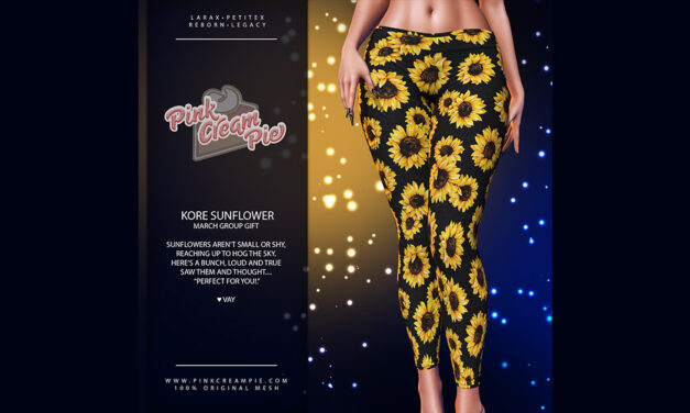 March Group Gift Kore Sunflower at Pink Cream Pie