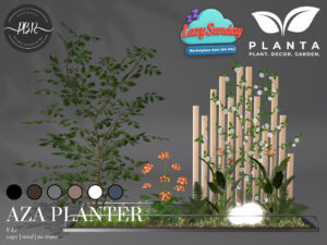 Planta