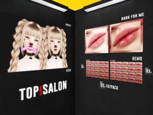 Top1Salon