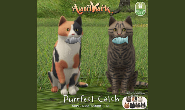 Aardvark Purrfect Catch Group Gift