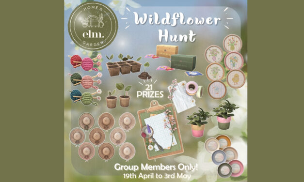 Wildflower Hunt for Group Members at Elm.