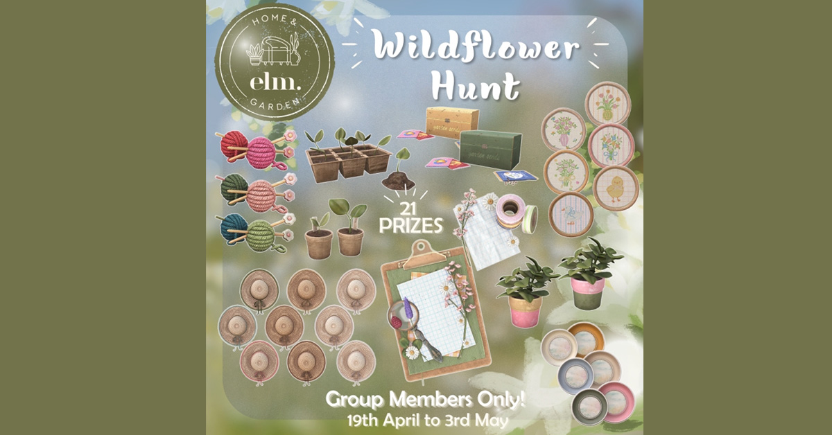 Wildflower Hunt for Group Members at Elm.