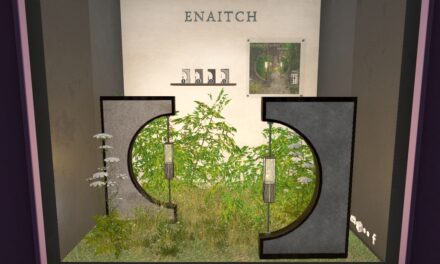 50% Off from Enaitch Only at The Outlet