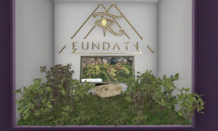 50% Off from Fundati Exclusively at The Outlet