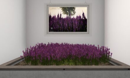 50% Off from Little Branch Only at The Outlet