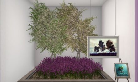 50% Off from Little Branch Only at The Outlet