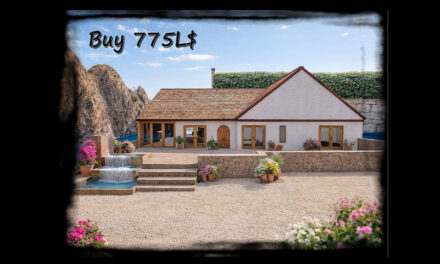 50% Off Mediterranee House at Petite Lune Kids