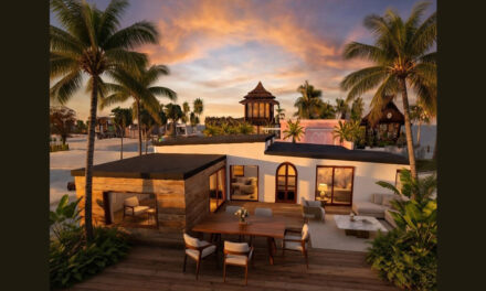 Selected Houses 50% off at Petit Lune Kids