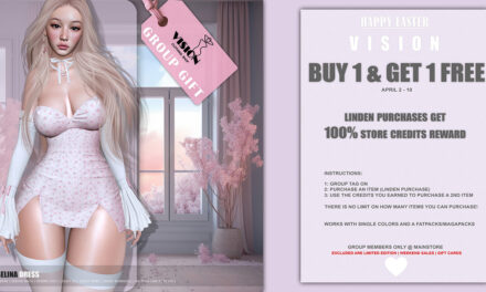 Vision Buy 1 Get 1 Free Sale – For Group Members