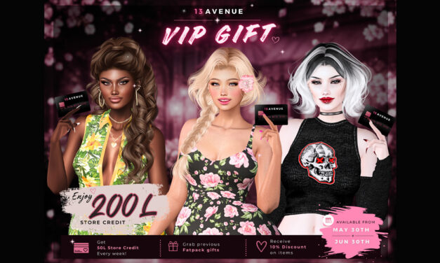 VIP Group Gift – 200L Store Credit at 13 Avenue