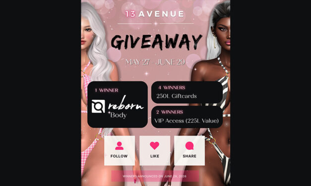 Reborn Body Giveaway at 13 Avenue!