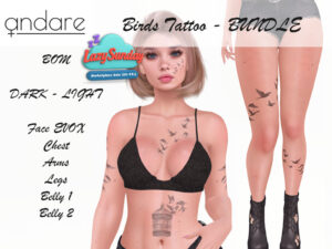 Andare