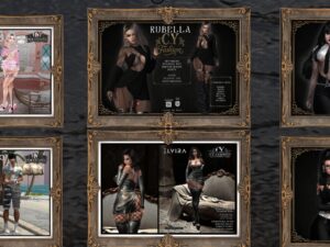 C.Y. Fashion