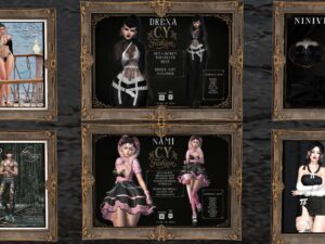 C.Y. Fashion