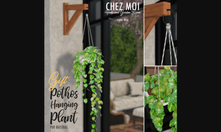 Free Gift Pothos Hanging Plant at Chez Moi’s New Belisseria Store!