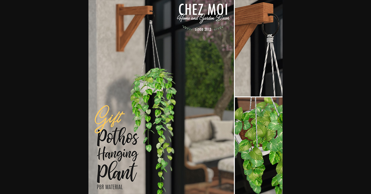 Free Gift Pothos Hanging Plant at Chez Moi’s New Belisseria Store!