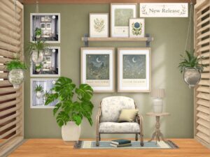 Dreamland Designs